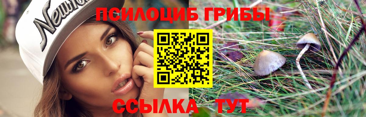Псилоцибиновые грибы мухоморы Воскресенск